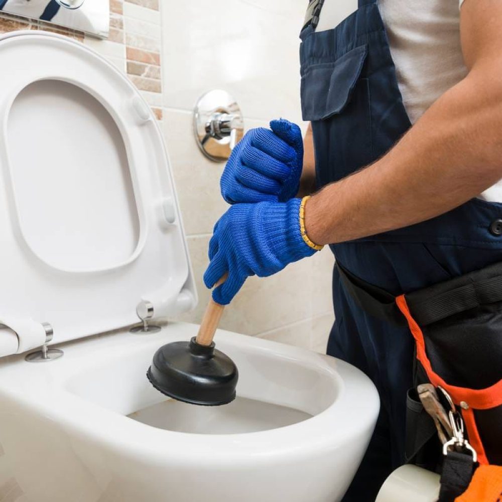 Desentupidor-vaso-sanitario